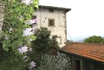 Rexer-Pratovecchio-Stia-Porzione-di-Colonica-Storica-del-con-Vista-Castello-di-Romena-Ex-Convento-Camaldolese-Pratovecchio-Stia-AR-Altro