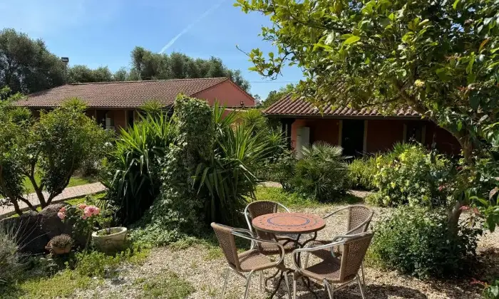 Rexer-San-Vero-Milis-Azienda-Agrituristica-avviata-Giardino