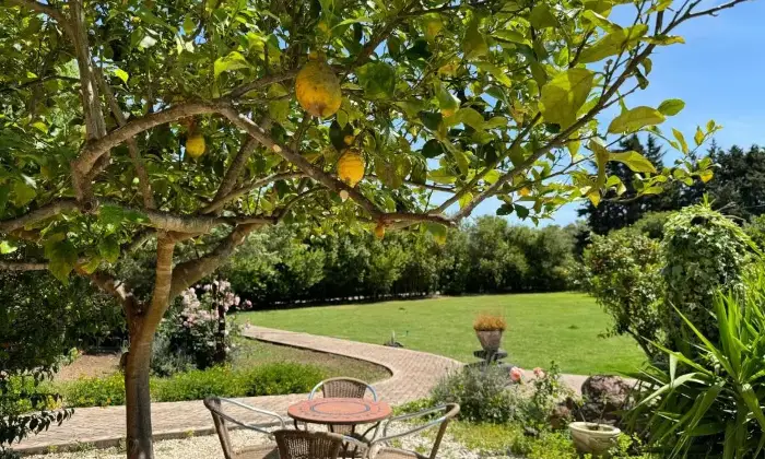 Rexer-San-Vero-Milis-Azienda-Agrituristica-avviata-Giardino