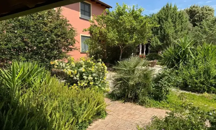 Rexer-San-Vero-Milis-Azienda-Agrituristica-avviata-Giardino