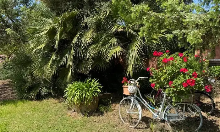 Rexer-San-Vero-Milis-Azienda-Agrituristica-avviata-Giardino