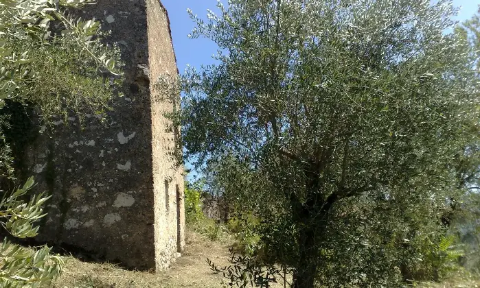 Rexer-Vicalvi-Unit-indipendente-da-ristrutturare-con-ampio-terreno-edificabile-Altro