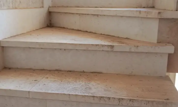 Rexer-Gagliano-del-Capo-NEL-SUD-SALENTO-Villa-indipendente-do-mq-DA-COMPLETARE-ad-Arigliano-Gagliano-del-Capo-Altro