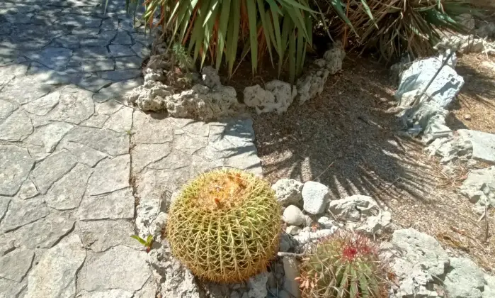 Rexer-Gagliano-del-Capo-NEL-SUD-SALENTO-Villa-indipendente-do-mq-DA-COMPLETARE-ad-Arigliano-Gagliano-del-Capo-Altro