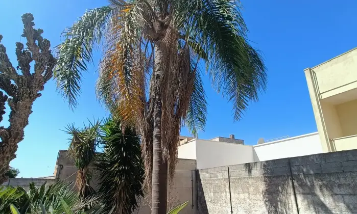 Rexer-Gagliano-del-Capo-NEL-SUD-SALENTO-Villa-indipendente-do-mq-DA-COMPLETARE-ad-Arigliano-Gagliano-del-Capo-Altro