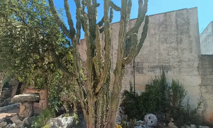 Rexer-Gagliano-del-Capo-NEL-SUD-SALENTO-Villa-indipendente-do-mq-DA-COMPLETARE-ad-Arigliano-Gagliano-del-Capo-Altro