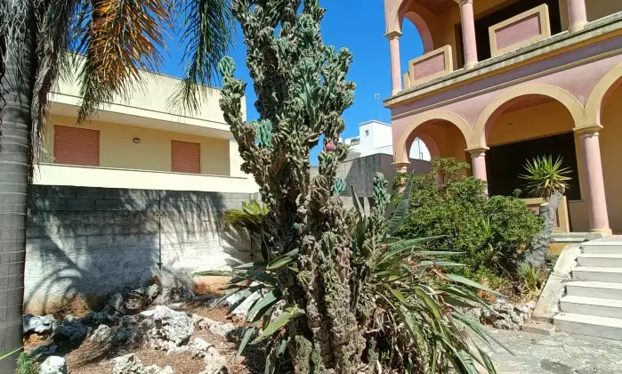 Rexer-Gagliano-del-Capo-NEL-SUD-SALENTO-Villa-indipendente-do-mq-DA-COMPLETARE-ad-Arigliano-Gagliano-del-Capo-Altro