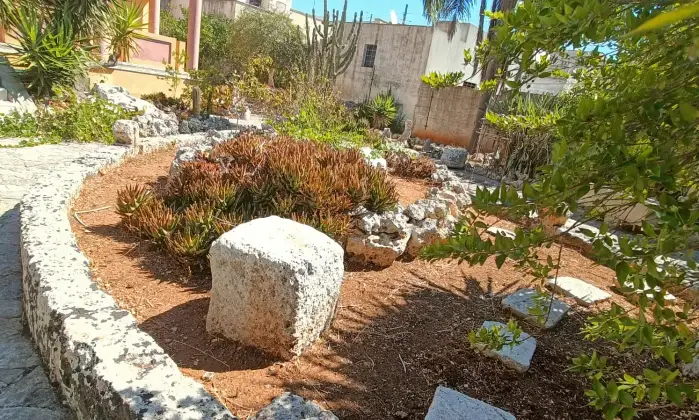 Rexer-Gagliano-del-Capo-NEL-SUD-SALENTO-Villa-indipendente-do-mq-DA-COMPLETARE-ad-Arigliano-Gagliano-del-Capo-Altro