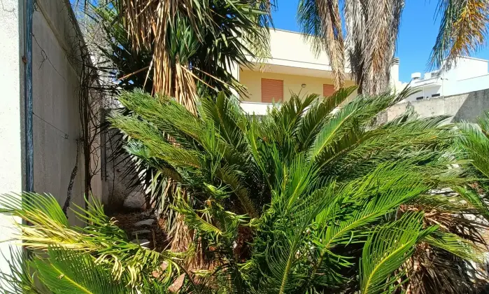 Rexer-Gagliano-del-Capo-NEL-SUD-SALENTO-Villa-indipendente-do-mq-DA-COMPLETARE-ad-Arigliano-Gagliano-del-Capo-Altro