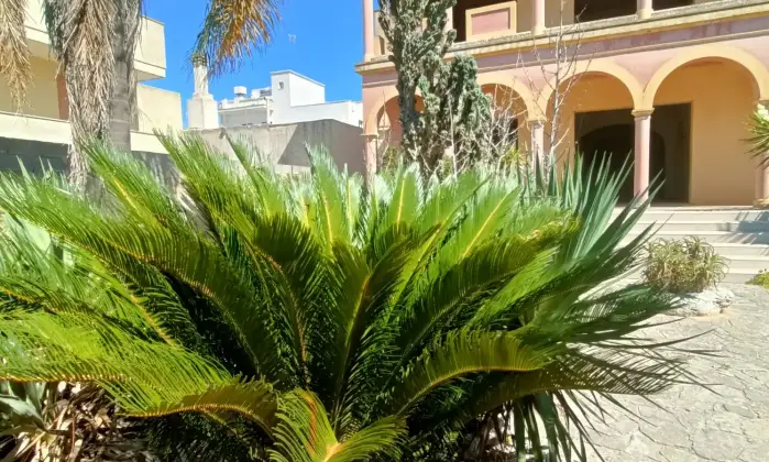 Rexer-Gagliano-del-Capo-NEL-SUD-SALENTO-Villa-indipendente-do-mq-DA-COMPLETARE-ad-Arigliano-Gagliano-del-Capo-Altro