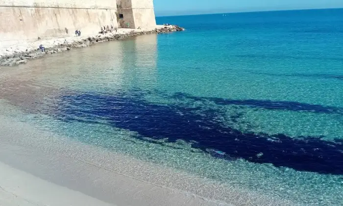 Rexer-Monopoli-Suite-in-stile-tradizionale-nel-cuore-di-Monopoli-a-soli-m-da-Porta-Vecchia-Altro