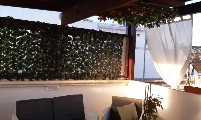 Rexer-Monopoli-Terratetto-in-stile-tradizionale-nel-cuore-di-Monopoli-a-soli-mt-da-Porta-Vecchia-Altro