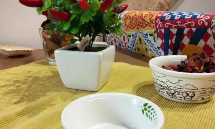 Rexer-Monopoli-Terratetto-in-stile-tradizionale-nel-cuore-di-Monopoli-a-soli-mt-da-Porta-Vecchia-Altro