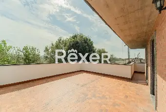 Rexer-Carpiano-Appartamento-con-terrazzo-abitabile-e-box-auto-Altro
