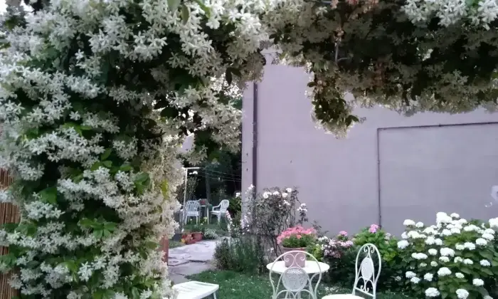 Rexer-Longastrino-Casa-indipendente-in-vendita-in-Via-Alcide-de-Gasperi-Longastrino-Altro