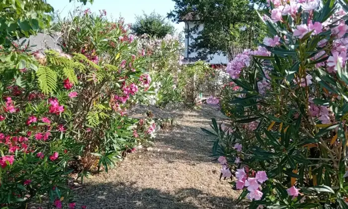 Rexer-Longastrino-VILLETTA-CON-RIGOGLIOSO-GIARDINO-in-vendita-in-Via-Alcide-de-Gasperi-Longastrino-Altro