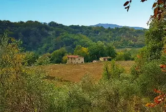 Rexer-Laterina-Pergine-Valdarno-Casale-in-vendita-in-Via-Pievi-Laterina-Laterina-Pergine-Valdarno-Altro