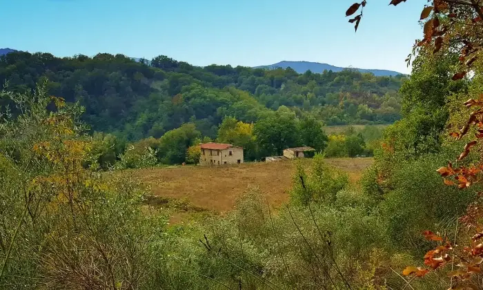 Rexer-Laterina-Pergine-Valdarno-Casale-in-vendita-in-Via-Pievi-Laterina-Laterina-Pergine-Valdarno-Altro