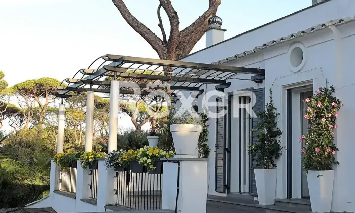 Rexer-Fregene-Fregene-Villa-esclusiva-con-parco-e-piscina-Altro