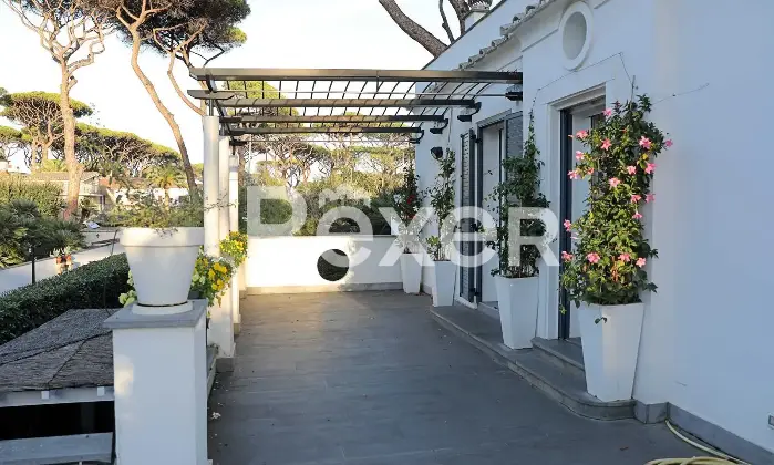 Rexer-Fregene-Fregene-Villa-esclusiva-con-parco-e-piscina-Altro