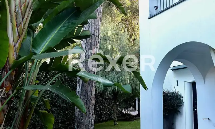 Rexer-Fregene-Fregene-Villa-esclusiva-con-parco-e-piscina-Altro
