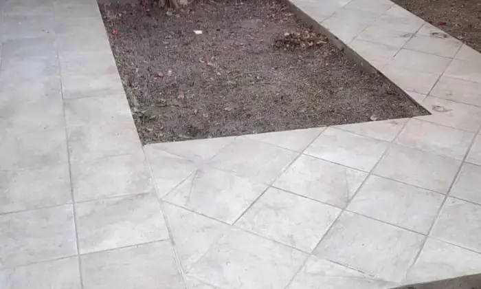Rexer-Magomadas-Libera-subito-ottimo-affare-Terrazzo