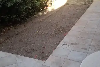 Rexer-Magomadas-Libera-subito-ottimo-affare-Terrazzo