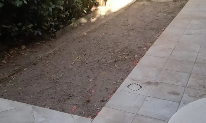 Rexer-Magomadas-Libera-subito-ottimo-affare-Terrazzo