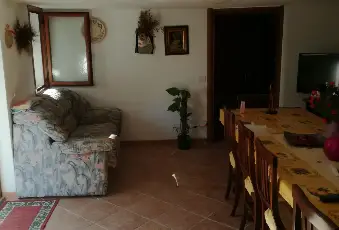 Rexer-Magomadas-Libera-subito-ottimo-affare-Altro