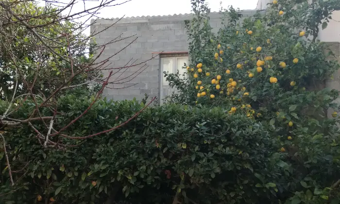 Rexer-Magomadas-CASA-IN-VENDITA-Terrazzo