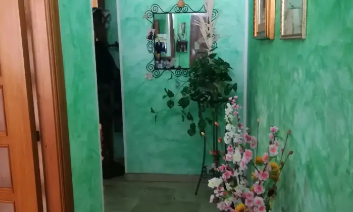 Rexer-Magomadas-CASA-IN-VENDITA-Altro