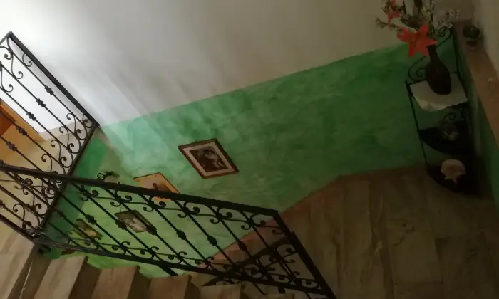 Rexer-Magomadas-Libera-subito-ottimo-affare-Altro