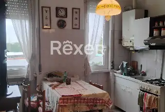 Rexer-Cernusco-sul-Naviglio-NUDA-PROPRIETA-TRILOCALE-CON-CANTINA-IN-CERNUSCO-SUL-NAVIGLIO-Altro