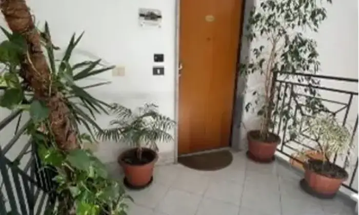 Rexer-Agropoli-Trilocale-in-vendita-in-Via-Malagenia-Zona-Mattine-Agropoli-Altro