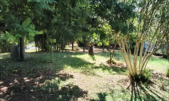 Rexer-Riva-del-Po-Villa-indipendente-antisismica-con-ampio-giardino-in-posizione-tranquilla-Accesso-disabili-Altro
