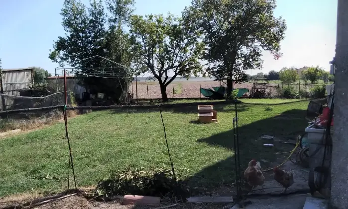 Rexer-Riva-del-Po-Villa-indipendente-antisismica-con-ampio-giardino-in-posizione-tranquilla-Accesso-disabili-Altro