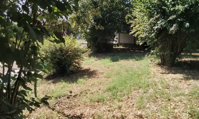 Rexer-Riva-del-Po-Villa-indipendente-antisismica-con-ampio-giardino-in-posizione-tranquilla-Accesso-disabili-Altro