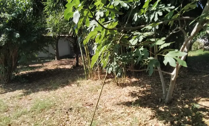 Rexer-Riva-del-Po-Villa-indipendente-antisismica-con-ampio-giardino-in-posizione-tranquilla-Accesso-disabili-Altro