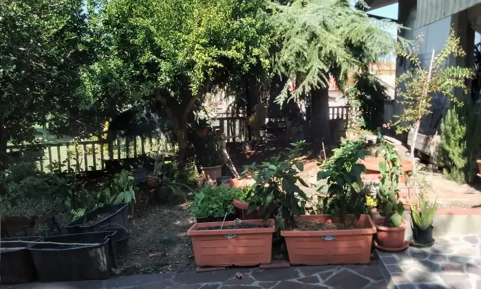 Rexer-Riva-del-Po-Villa-indipendente-antisismica-con-ampio-giardino-in-posizione-tranquilla-Accesso-disabili-Altro