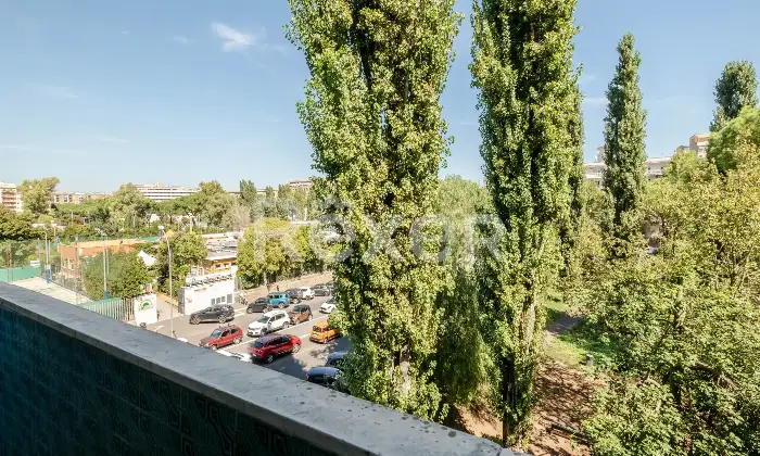 Rexer-Roma-Appartamento-a-Montagnola-Altro