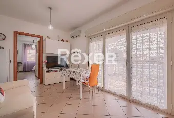 Rexer-Ponte-Galeriala-Pisana-Appartamento-con-box-auto-Altro