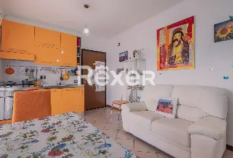 Rexer-Ponte-Galeriala-Pisana-Appartamento-con-box-auto-Altro