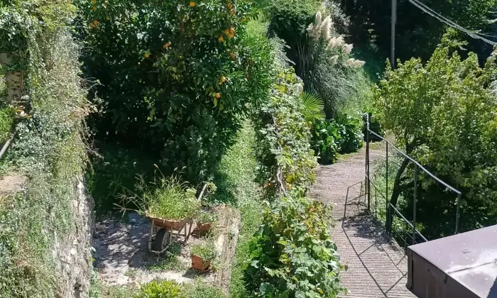 Rexer-Nesso-Casa-indipendente-costituita-da-appartamenti-oltre-terrazze-e-giardino-Altro