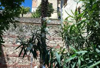 Rexer-Murisengo-Dimora-storica-nel-cuore-del-Monferrato-Murisengo-AL-Giardino