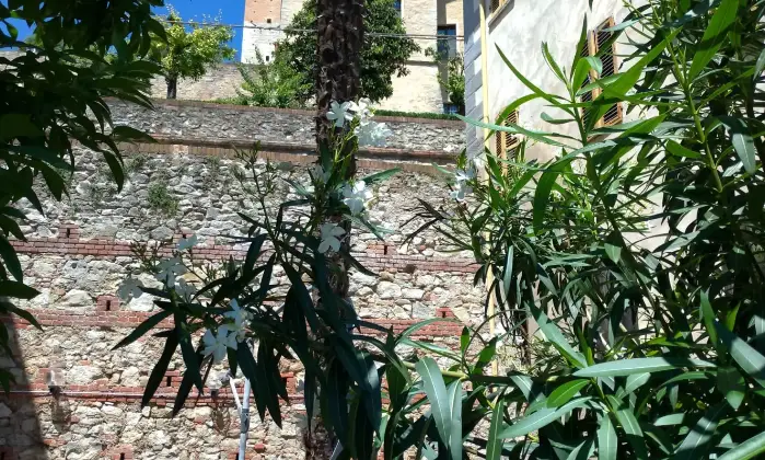 Rexer-Murisengo-Dimora-storica-nel-cuore-del-Monferrato-Murisengo-AL-Giardino