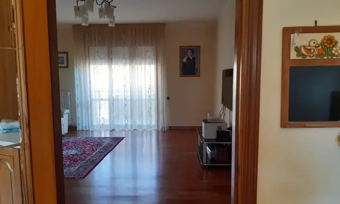 Rexer-Fermo-Appartamento-in-posizione-collinare-a-km-dalla-spiaggia-di-Porto-San-Giorgio-Libero-su-tre-lati-Altro