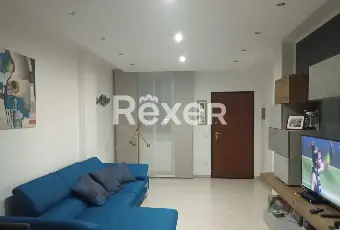 Rexer-Galatina-VILLETTA-BIFAMILIARE-INDIPENDENTE-GALATINA-Altro