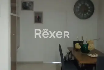 Rexer-Galatina-VILLETTA-BIFAMILIARE-INDIPENDENTE-GALATINA-Altro