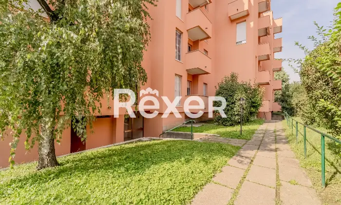 Rexer-Pero-VENDESI-TRILOCALE-CON-BOX-Altro