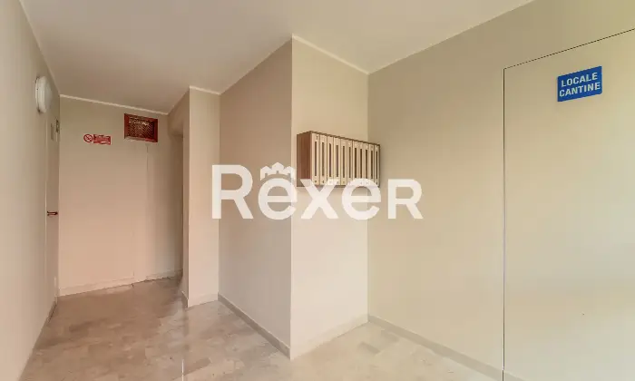 Rexer-Pero-VENDESI-TRILOCALE-CON-BOX-Altro
